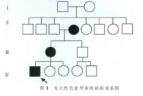 ժҪ
