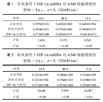  HIF-1 miRNA  A549 ϸֳӰ