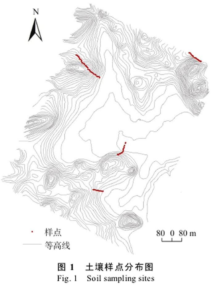 论文摘要