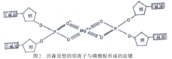 ɭþγɵμͼ