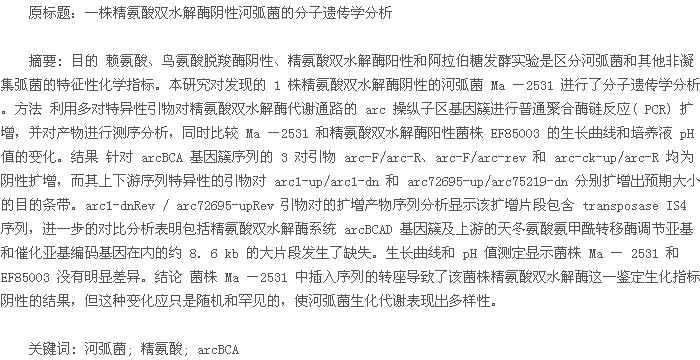 论文摘要