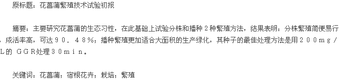 论文摘要