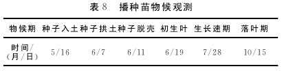 论文摘要