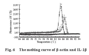 The melting curve of -actin and IL-1 