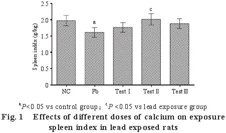 Effects of different doses of calcium on exposurespleen index in lead exposed rats
