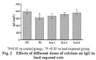 Effects of different doses of calcium on Ig G inlead exposed rats 