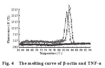 The melting curve of -actin and TNF-