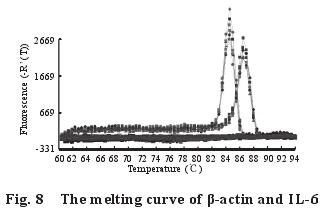 The melting curve of -actin and IL-6 