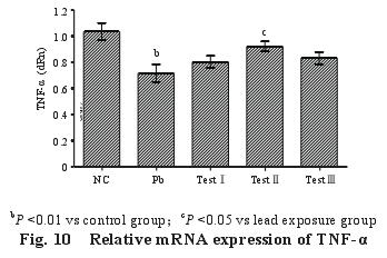 Relative m RNA expression of TNF-