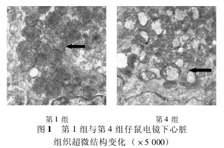 14羵֯΢ṹ仯  5 000 