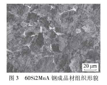 60Si2MnA钢成品材组织形貌