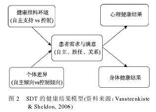  SDT ĽģͣԴVansteenkiste & Sheldon, 2006