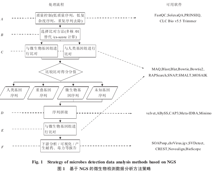 Fig. 1 Strategy of microbes detection data analysis methods based onͼ1NGS΢ݷԡ