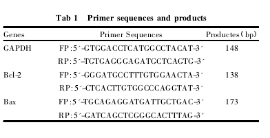 Tab 1 Primer sequences and products