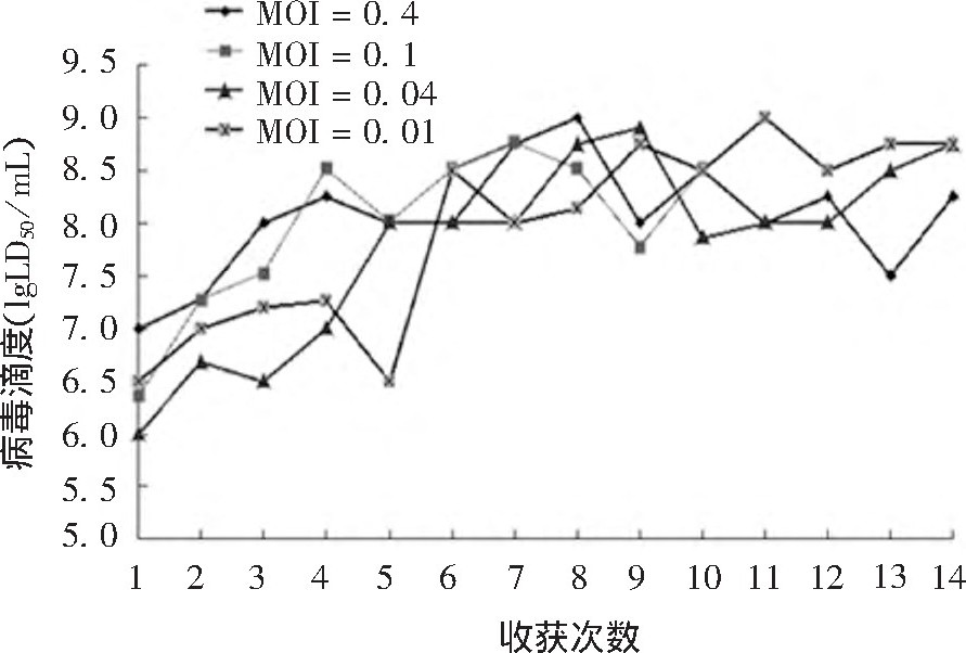 ͼ3 MOI14 LﷴӦɭײζȺջӰFig 3.Effect of MOI on titer and harvest times of TBE virus in 14 bioreactor