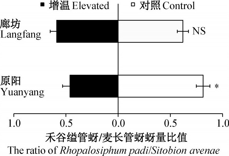ͼ5 ¶Ըγȵȷк͵γȵԭ̹˹󳤹ʢֵӰFig.5 The impacts of elevated temperature on the ratios of Rhopalosiphum padi/Sitobion avenae at Langfang and Yuanyang experimental stations