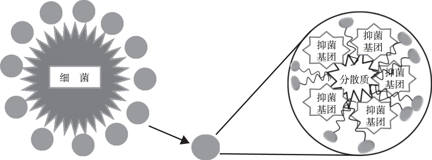 ͼ2 ӱԼ־Fig.2 Antimicrobial mechanism of anionic surfactants