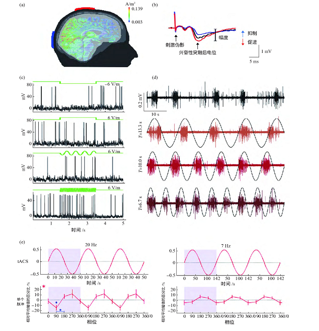 Fig.1 Neurophysiological mechanisms of t DCS and t ACSͼ1 t DCSt ACSõ