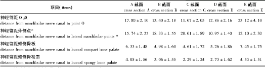2 񾭹ܵλò (s, mm, n=40) Table 2 Positional measurements of mandibular nerve canal on mandibular cross sections (s, mm, n=40)