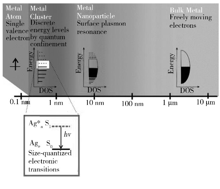 ͼ4 ߴԽϵܼṹӰ[61]Fig.4 Effect of size on metal materials structure[61]