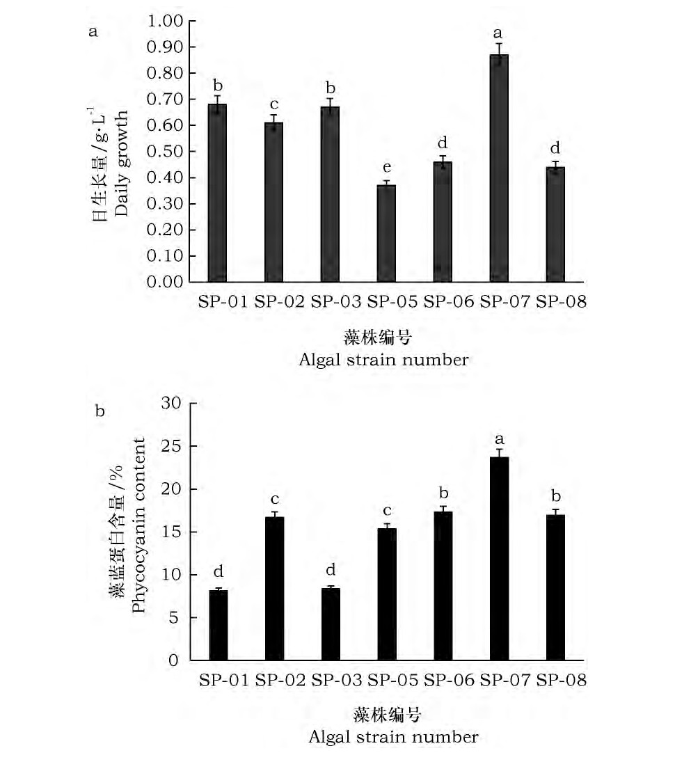 ͼ2  (a) ׺ (b) Fig.2 Daily growth (a) and phycocyanin content (b) in cells of Spirulinaalgae
