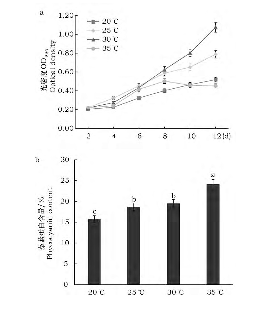 ͼ6 ¶ȶSp-SX07׻۵ӰFig.6 Effect of temperature on growth and accumulation of phycocyanin in Spirulina Sp-SX07
