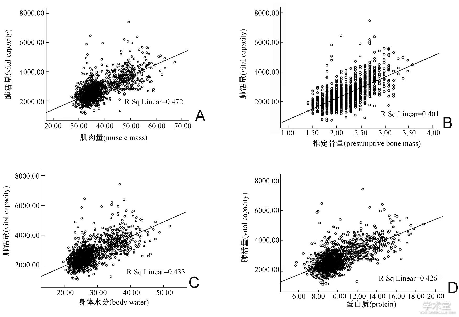 ͼ1 λɷعϵɢͼFig.1 Scatter diagram of correlation between vital capacity and body composition