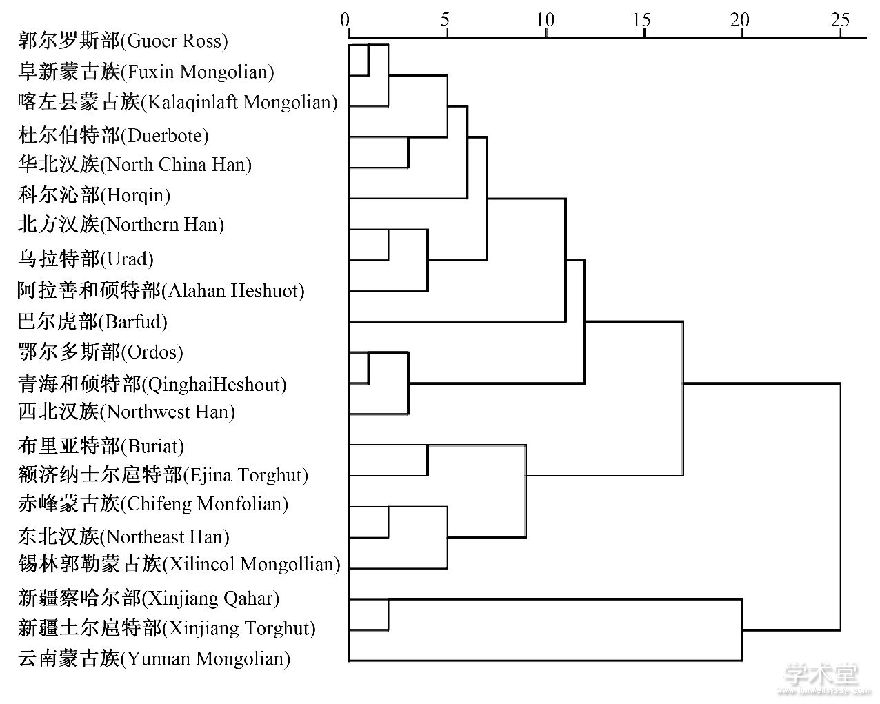 ͼ6 ŮԾͼFig.6 Dendrogram of female