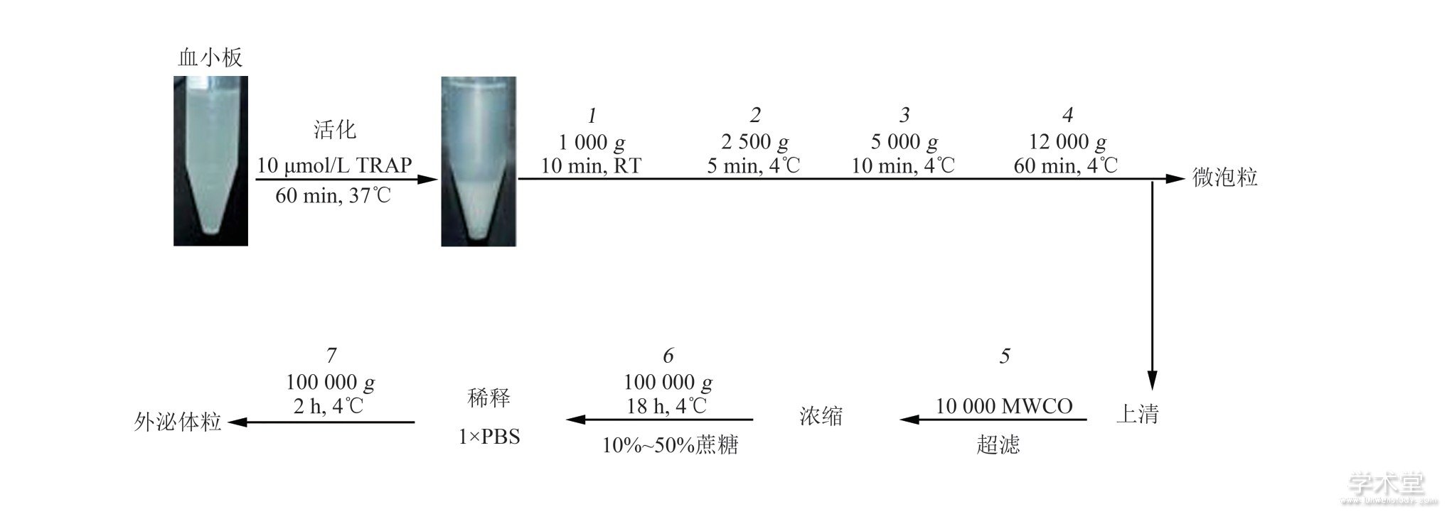 Fig.2 Isolation of platelet-derived EVs[24]ͼ2ѪСԴEVsķ뷽[24]