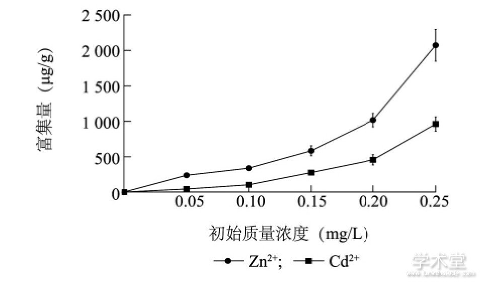ͼ1 ͭ΢Zn2+Cd2+ĸFig.1 Enrichment of Zn2+and Cd2+in Microcystis aeruginosa