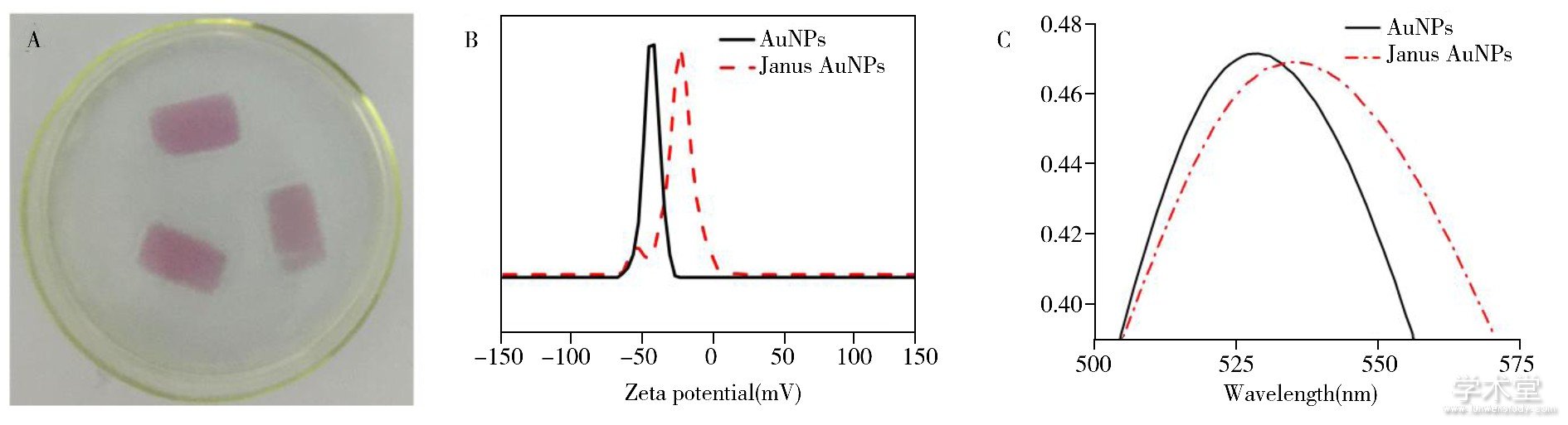 ͼ4 ̶زƬϵJanus AuNPs (A) 35 nm AuNPsJanus AuNPsĵλֵ (B) Լ 35 nm AuNPsJanus AuNPsչͼ (C)