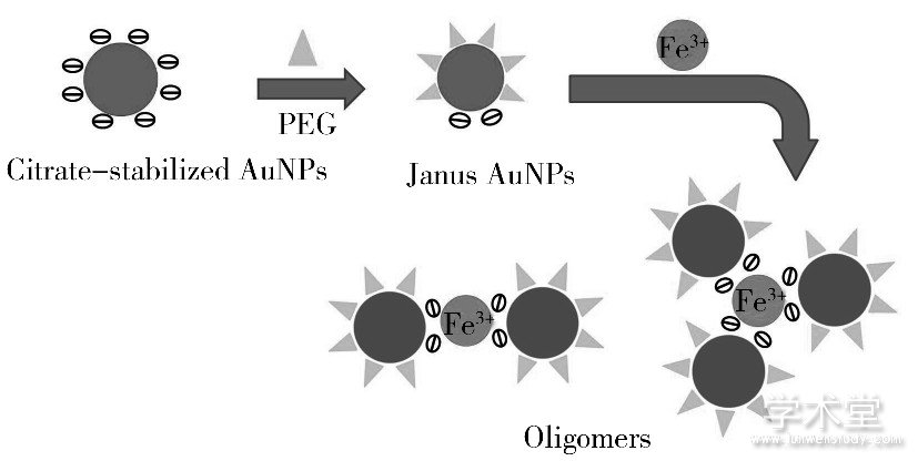 ͼ1 Ҷ (PEG) Գεġͽ (Janus AuNPs) ɫFe3+ʾͼ