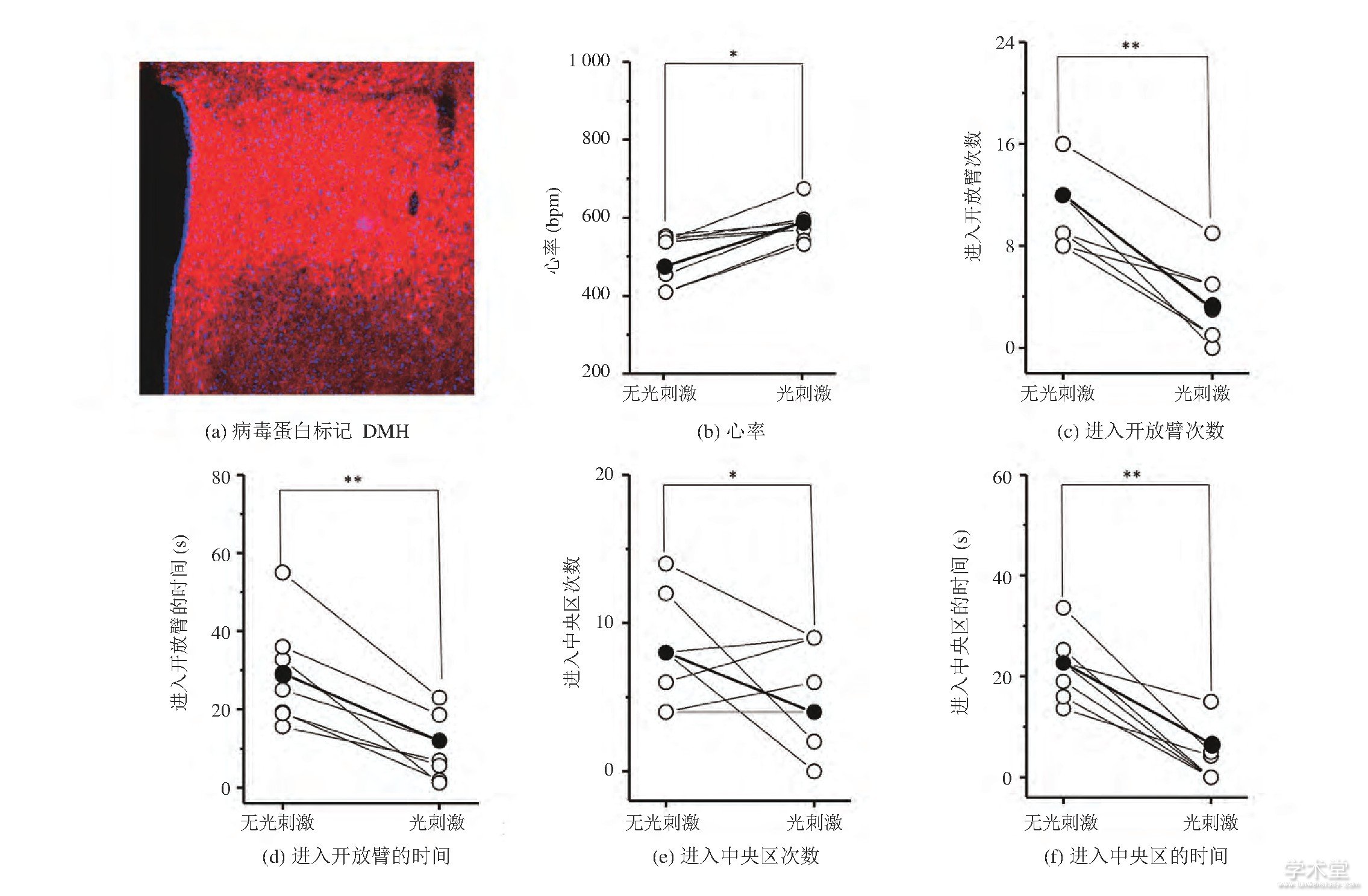 ͼ3 GAD-creСڹŴ˷DMH GABAԪǰʺΪ仯 (*P0.05, **P0.01, t-)Fig.3 Heart rate and behavior changes of GAD-cre mice before and during optogenetic excitation of DMH GABAergic neurons (*P<0.05, **P<0.01, Paired t-Test)