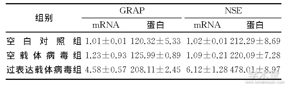 2 GRAPNSE mRNA͵ױ