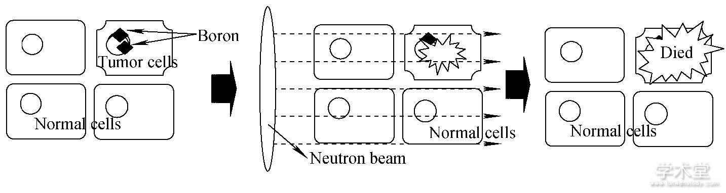 ͼ1 ӷԭFig.1 The principle of boron neutron capture therapy