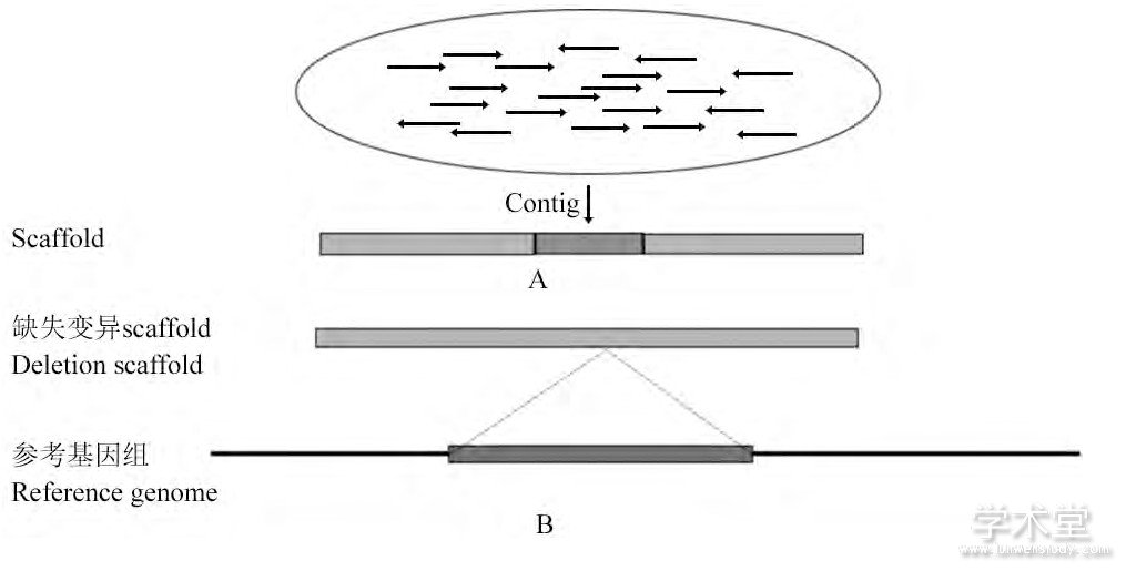 ͼ5 ƴӷSVԭFigure 5 The principle of Sequence assembly method for SV detection