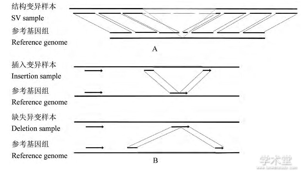 ͼ4 ʹ÷ƬηSVԭFigure 4 The principle of Split-read method for SV detection