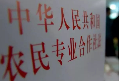农合社中影响社员权行使的因素与对策