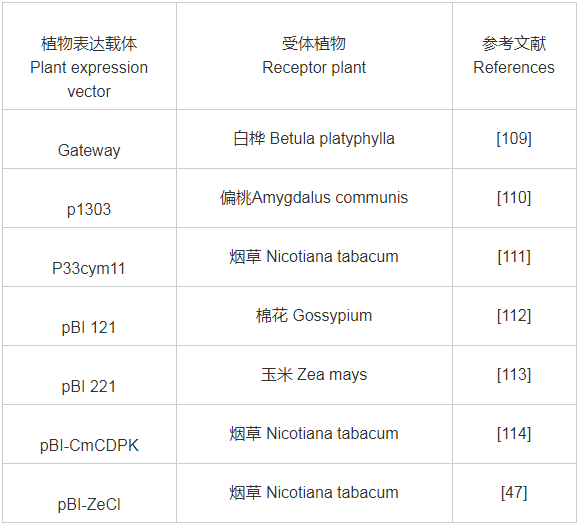 2 곣ֲֲһ