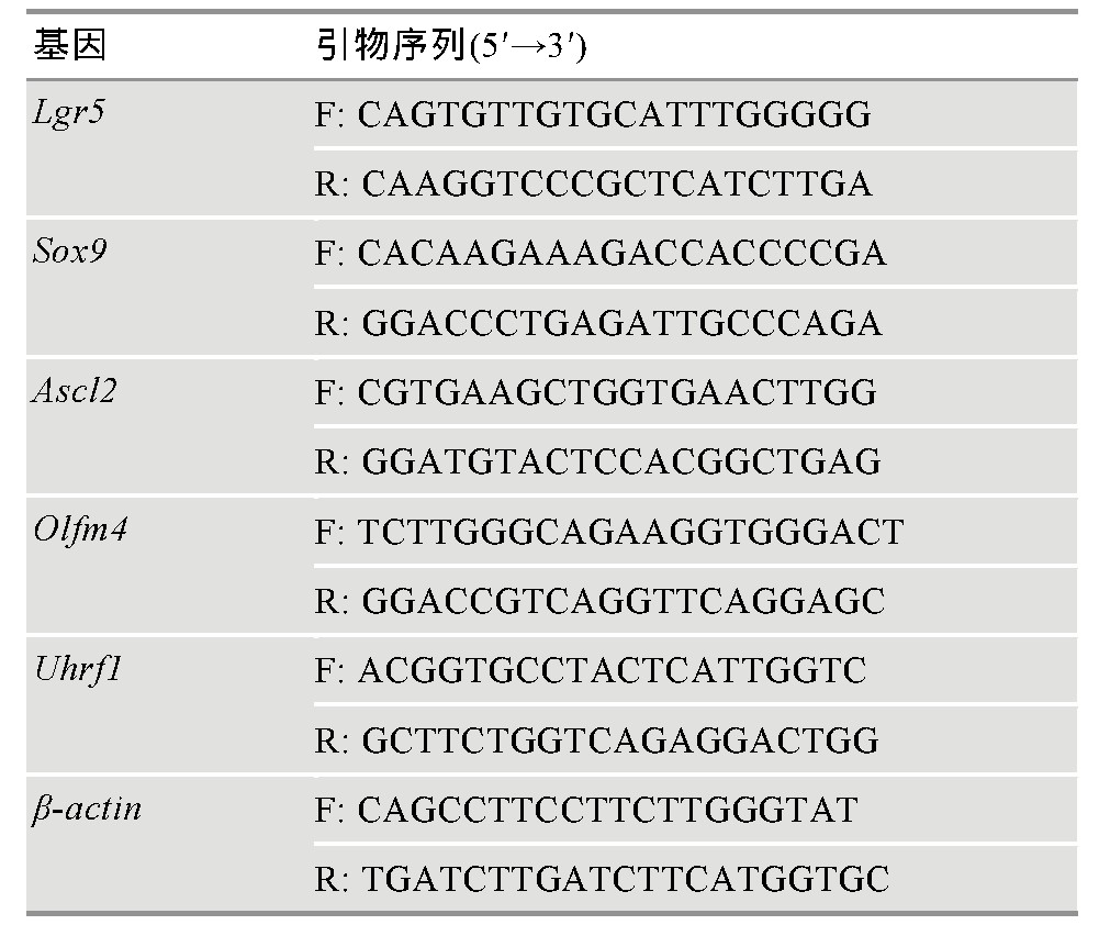 1 q RT-PCR